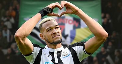 Joelinton overwhelmingly voted Player of the Year by ChronicleLive readers