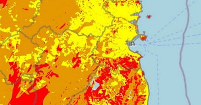 Map reveals parts of Dublin where homes could be at high risk from cancer-causing radon gas