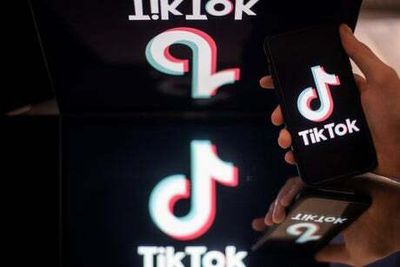 Behind the scenes action and finding your niche - how businesses can go viral on TikTok