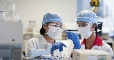 Monkeypox Scotland: Two more cases confirmed health officials release warning