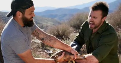 Kings of Pain host left screaming and throwing up following venomous lizard bite