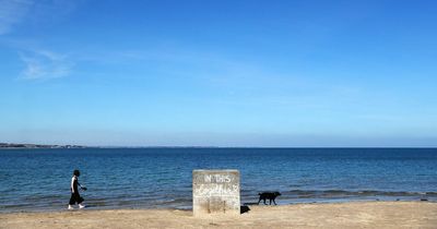 Eight things you need to consider before travelling with pets - breed, insurance, passports and more