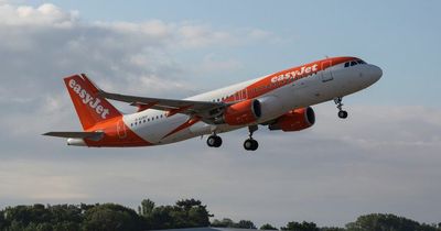 EasyJet passengers hit by long delays as 200 flights grounded
