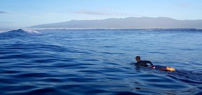 Wipeout: plan to dig up Fiji reef abandoned