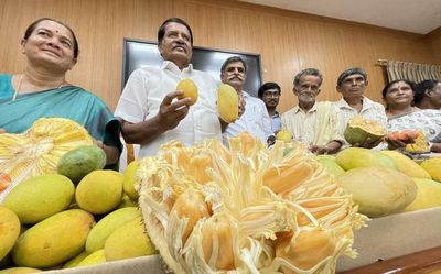 Mango and jackfruit mela comes back to Lalbagh after two years