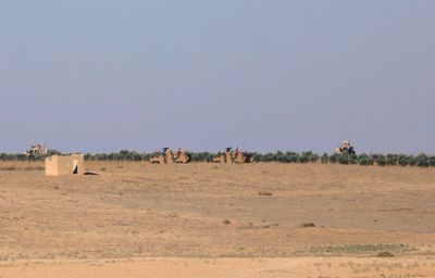 Turkey says military operations on southern borders needed for security
