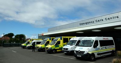 'It was one in, one out': Beds were 'almost completely blocked' at times in April at Gateshead's Queen Elizabeth Hospital