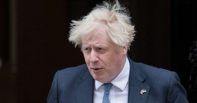 Acting Met Police chief grilled over Partygate after Boris Johnson got one fine