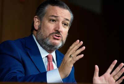 Cruz's Uvalde solution: Door control