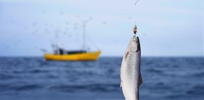 Managing fish stocks shared by nations must focus on the impacts of climate change