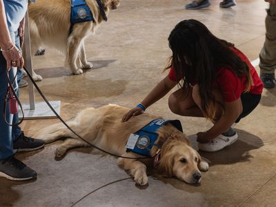 Comfort dogs have been deployed to Uvalde, Texas, from near and far