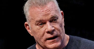 Ray Liotta shared details about upcoming project days before tragic death