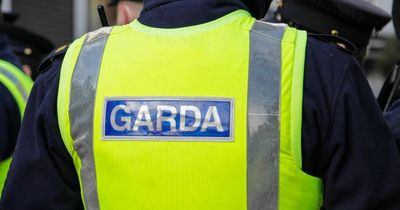 Teen girl in critical condition after being airlifted to hospital following horror crash in Waterford