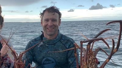 Scans after sports injury, assault detected Damien Healy's brain tumour but a colonoscopy saved his life