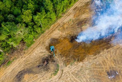 Shoring up ecosystems good for your health