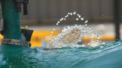 Water storage in Maharashtra’s dams down to 36%