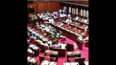 Only a matter of time before BJP gets majority in council