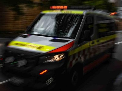 Boy dies after being hit by car in Sydney