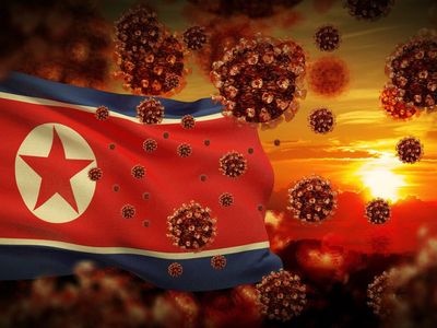 North Korea Began Importing COVID-19 Medical Supplies From China Long Before It Reported First Case