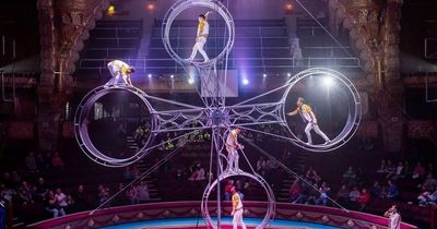 Blackpool Tower Circus acrobat involved in 'Wheel of Death' fall in front of shocked audience