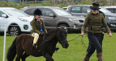 Dumfries and Galloway Horse Show attracts riders from across Scotland, Cumbria and Northumberland