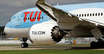 TUI pledges to minimise disruption after lengthy delays on holiday flights