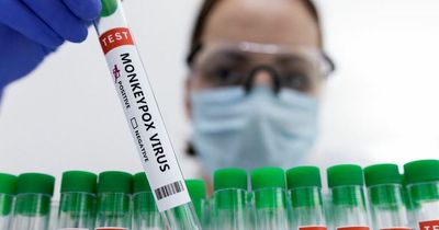 More Scottish monkeypox cases confirmed as expert warns infections 'will rise and could turn deadly'