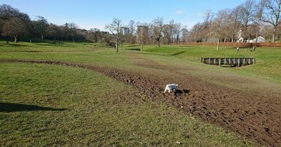 New cycle skills trails at Falkirk park gets green light