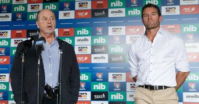 Newcastle Knights and Wests Group ponder succession plan for life after CEO Phil Gardner