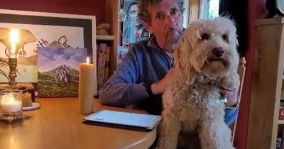 Charlie Bird hopes he 'can survive' to see Bruce Springsteen in Dublin