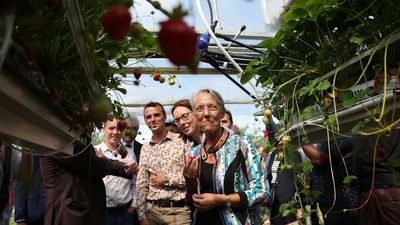 French government rolls out financial aid for farmers hit by drought