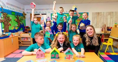 Pupils take part in colourful bird box challenge