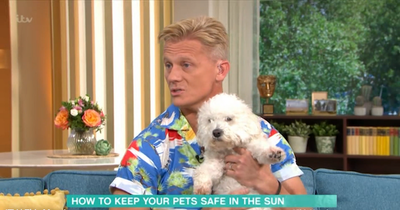 This Morning pet expert issues warning to dog owners