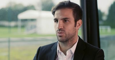 Cesc Fabregas comments vindicate Mikel Arteta's divisive summer transfer decision