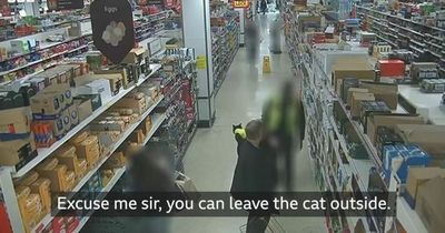 Sainsbury's faces court showdown after banning man's cat