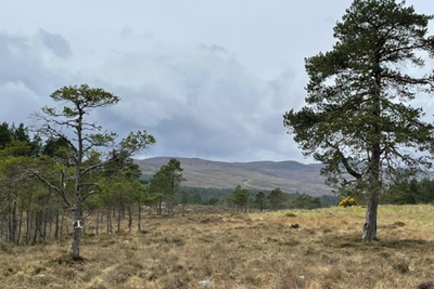 Scotland cannot allow a handful people to make key decisions on natural assets, experts warn