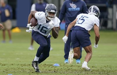 Watch: Titans’ Treylon Burks makes leaping catch at OTAs