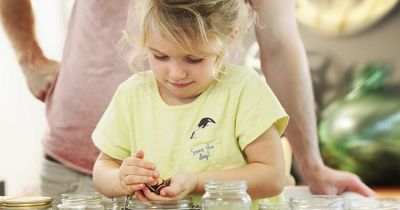 When do child benefits stop and when are they normally paid?