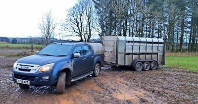 Callous thieves dump sheepdogs in Dundee after stealing vehicle from farm near Coupar Angus
