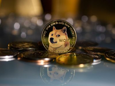 How Dogecoin Looks Following Elon Musk-Fueled Mini-Rally