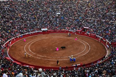 Mexican judge suspends bullfights in world's largest ring