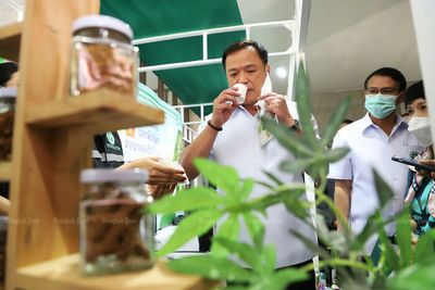 Health Ministry, agencies aim to deter recreational weed use