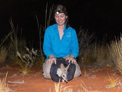 The rewilding of Australia's red centre