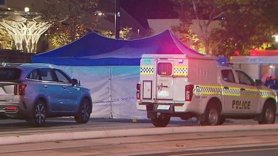 Man dies during arrest following fight on King William Road in Adelaide CBD