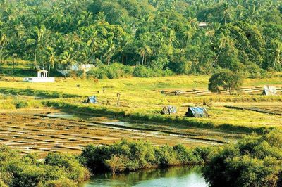 ‘2.2 lakh sqm agri land in North Goa made settlement’