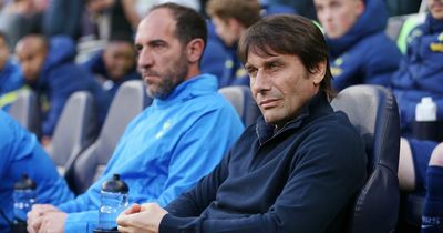 Antonio Conte could release full potential of England star with 'perfect' Tottenham transfer