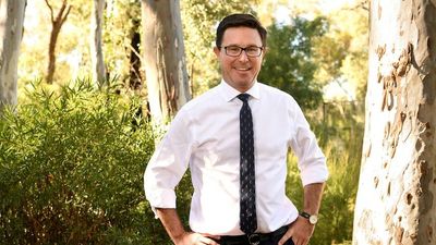 David Littleproud declares he will challenge Barnaby Joyce for National party leadership