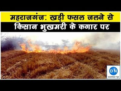 UP: Standing crops destroyed in fire leaving villagers devastated in Maharajganj; no government compensation yet