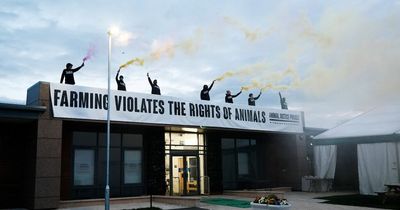 Animal rights protestors cause chaos by scaling roof of major meat industry event