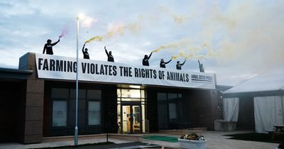 Animal rights activists hold rooftop protest at Darlington meat expo